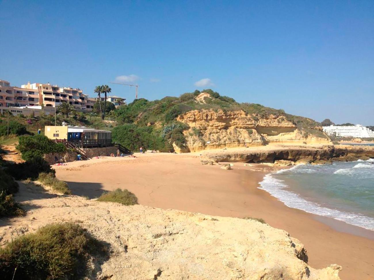 - Lote 6 T1 Apartment